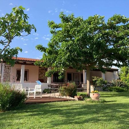 Countryside Villa In Sardinia Triei Dış mekan fotoğraf