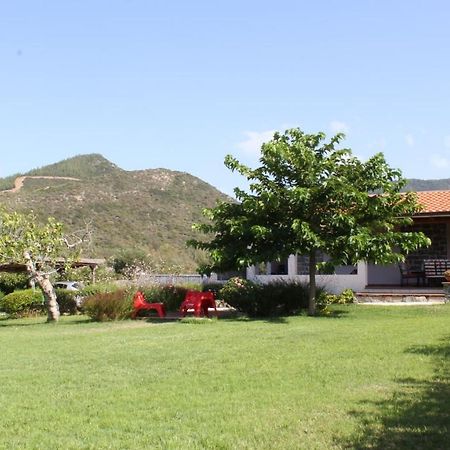 Countryside Villa In Sardinia Triei Dış mekan fotoğraf