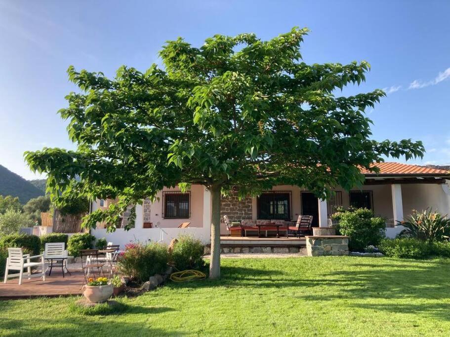 Countryside Villa In Sardinia Triei Dış mekan fotoğraf