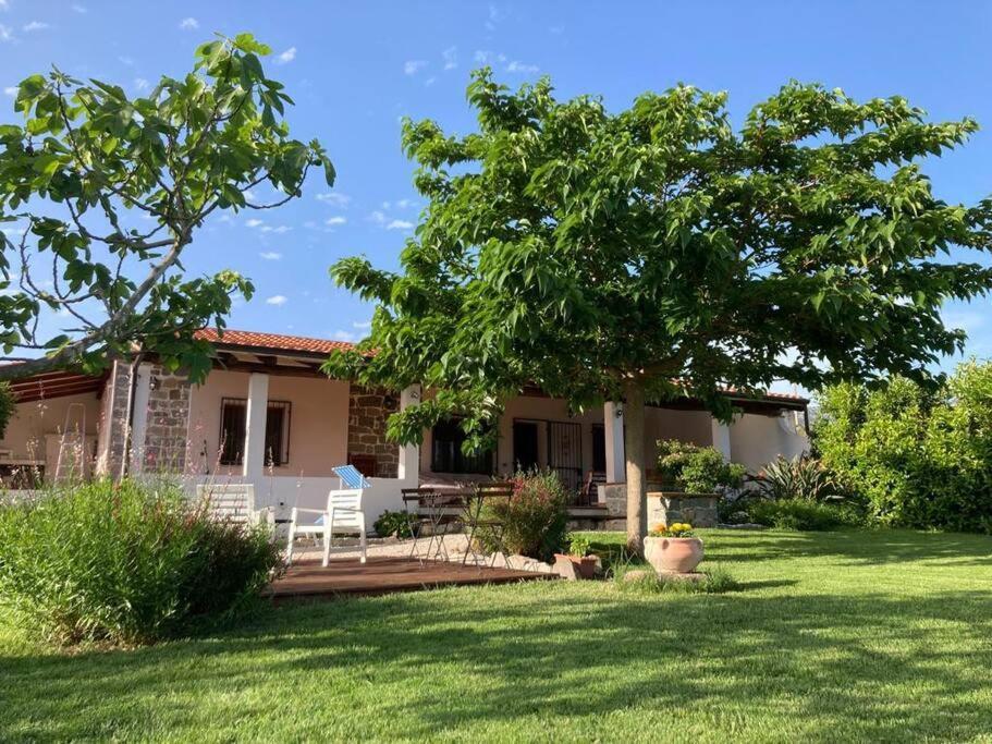 Countryside Villa In Sardinia Triei Dış mekan fotoğraf