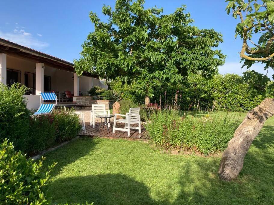 Countryside Villa In Sardinia Triei Dış mekan fotoğraf